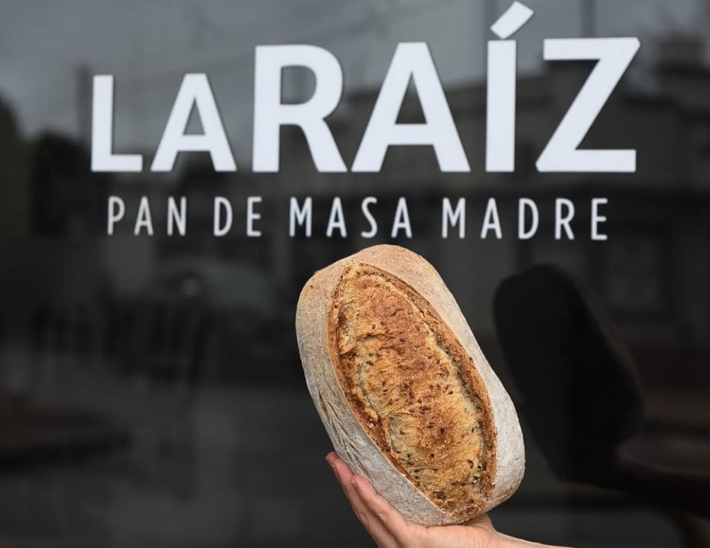 La Raíz